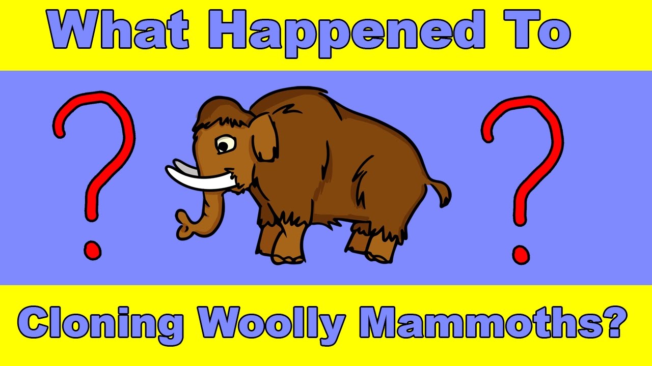 Why Haven't We Cloned a Woolly Mammoth Yet?