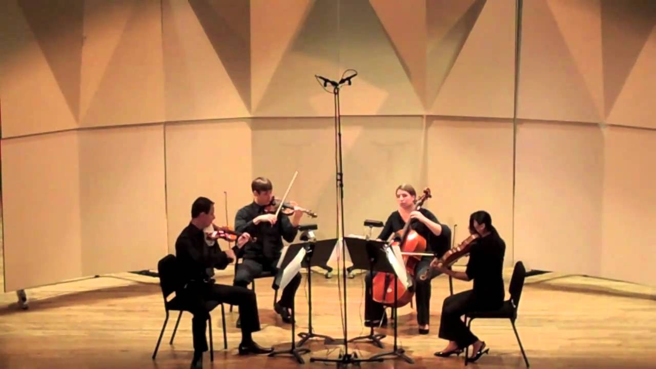 Haydn - Quartet Op. 33 No. 5 - Mvt. I (Kontras Quartet)