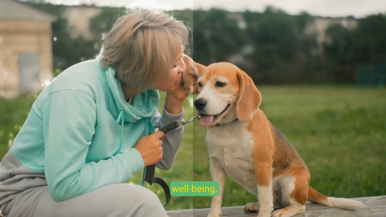 Unlocking Canine Communication  5 Key Signals Every Dog Owner Should Know