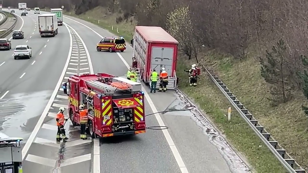 Dramatiske scener p&aring; motorvej lige nu: Dyretransport st&aring;r i flammer
