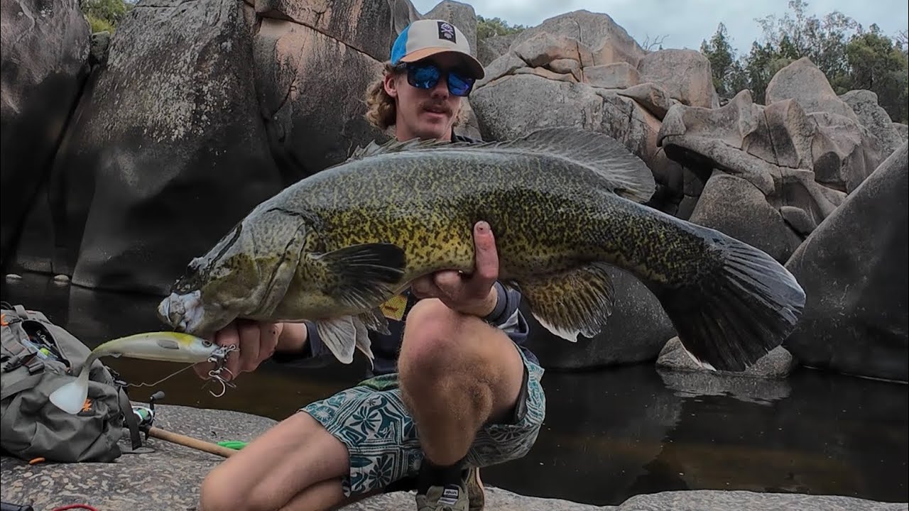 Murray cod fishing gorge country. ( fishing Australia ).