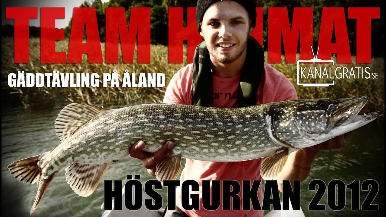 G&auml;ddt&auml;vling p&aring; &Aring;land - H&ouml;stgurkan 2012