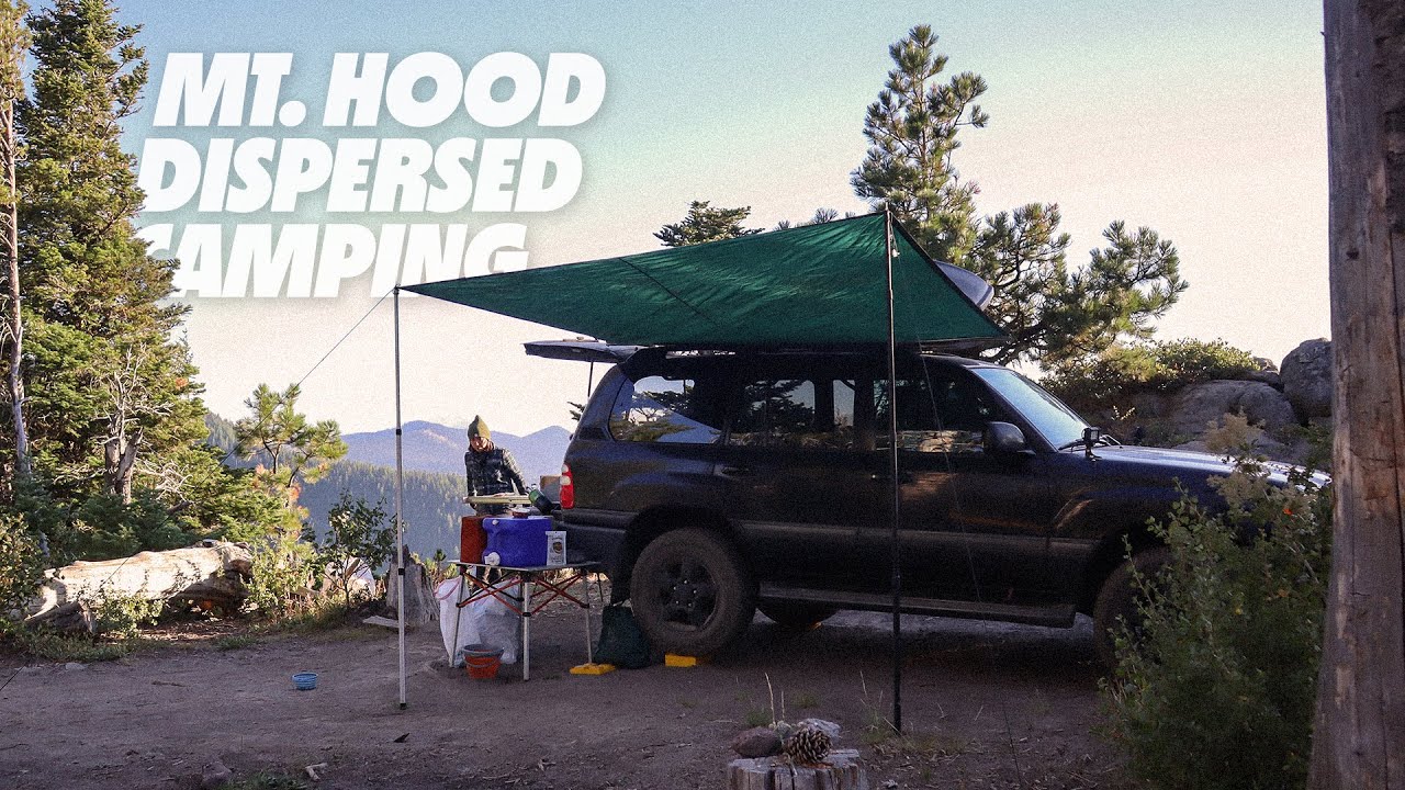 Mt Hood Overlanding | Unwelcome visitors at our campsite