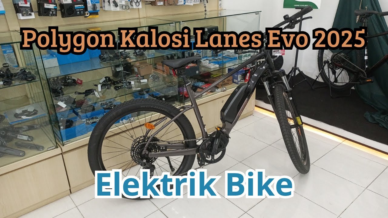 Polygon Kalosi Lanes Evo | Electric Bike