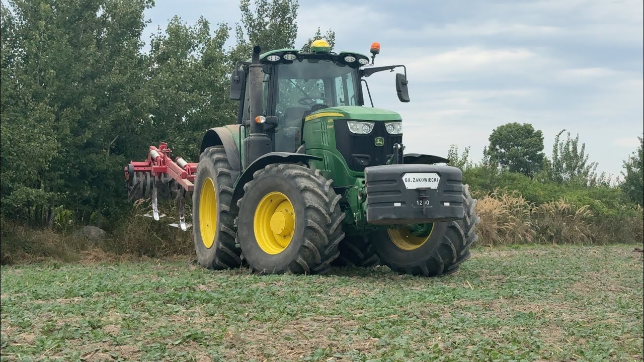 ‼️Uprawa bezorkowa2025‼️JOHN DEERE 6175m🦌🦌🦌 AJAX TRIO 3,0m 
