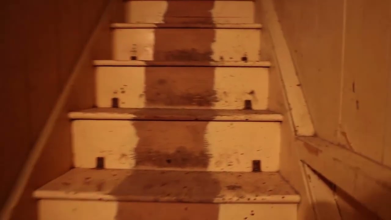 Inside abandoned Bicton Manor in Cornwall