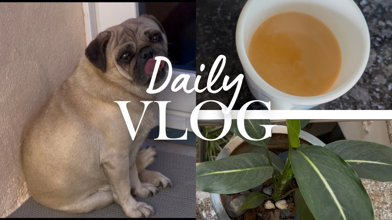 Chotto metho vlog🥰//ajako tarkari😋//ghar ko kaam/#dailyvlog #familyvlog #mukarungfamilyvlogDAY-176🙏🥰