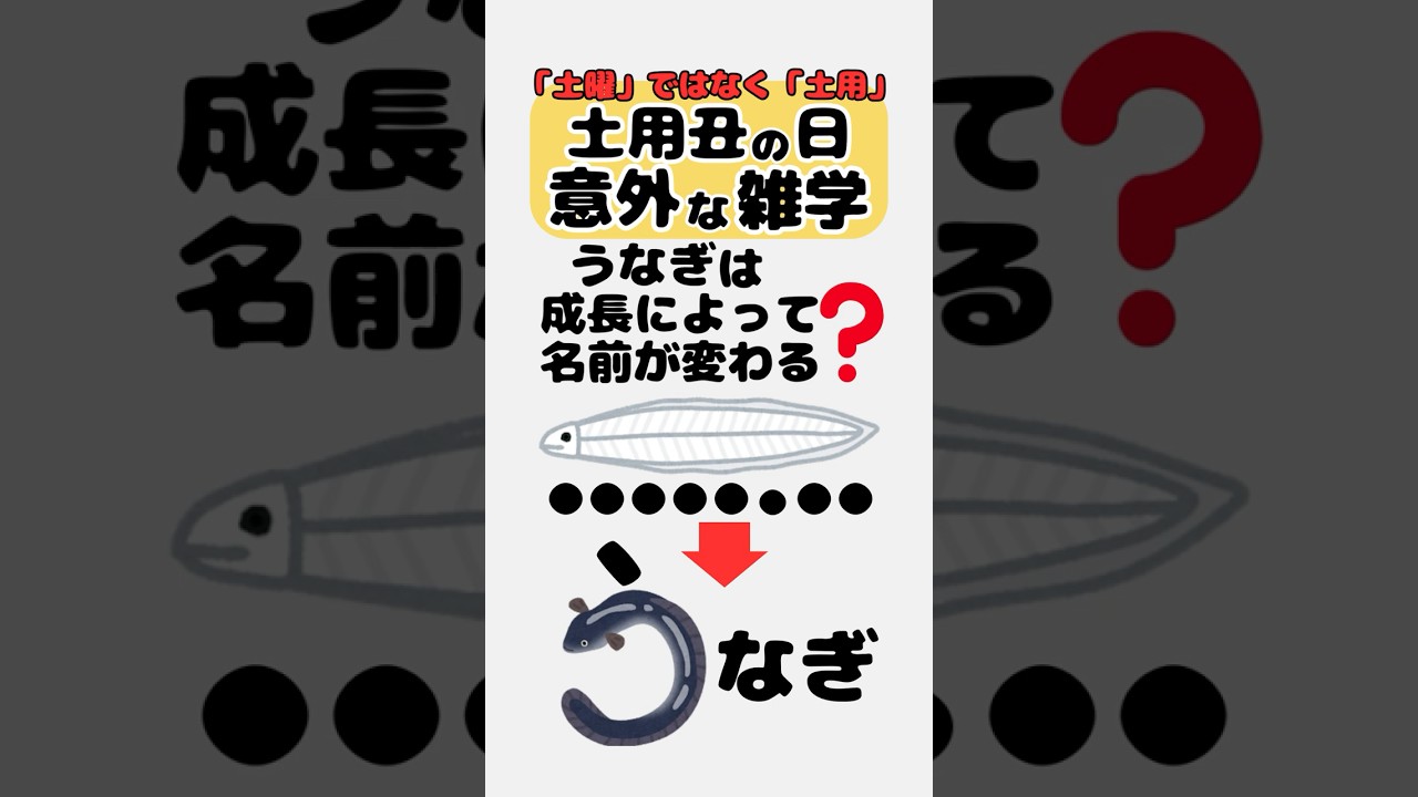 土用丑の日に関する意外な雑学 #うなぎ #夏の風物詩
