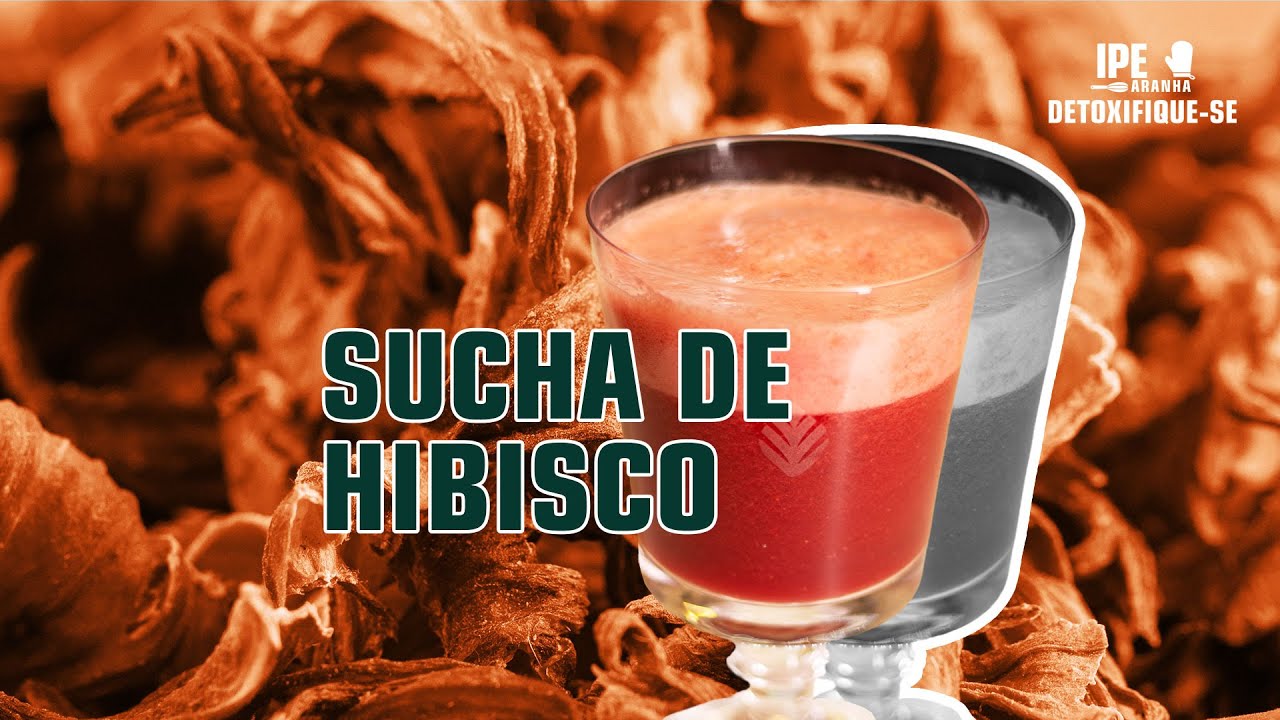 Such&aacute; de Hibisco com Morango | Ch&aacute; Detox Refrescante e Nutritivo