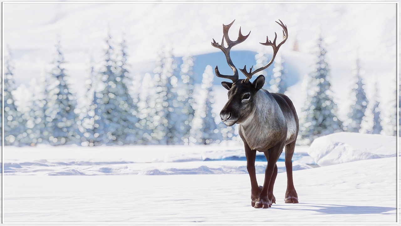 Building the ULTIMATE Cozy Winter Zoo in Planet Zoo Franchise Mode