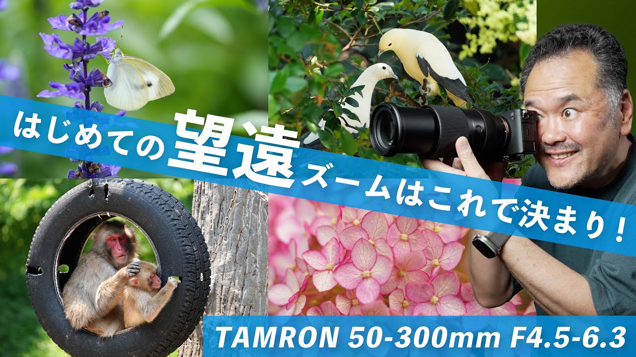 タムロン50-300mm望遠レンズを試した結果！軽さとパフォーマンスがスゴイ！