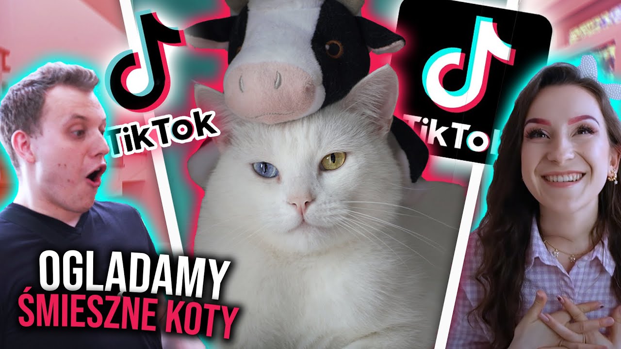 OGLĄDAMY ŚMIESZNE KOTY NA TIKTOKU z @Muffinaart