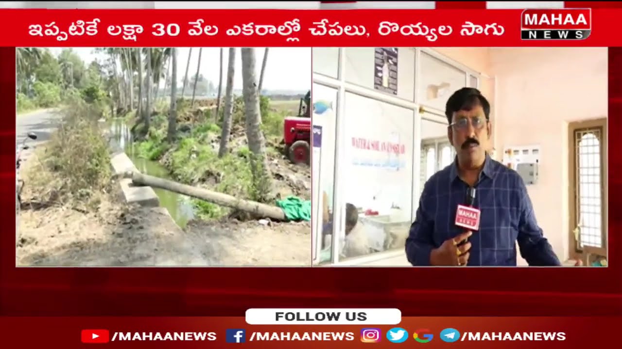 అన్నపూర్ణ లాంటి నేల.. ఇప్పుడు ఆక్వా హబ్‌గా మార్పు | Mahaa News