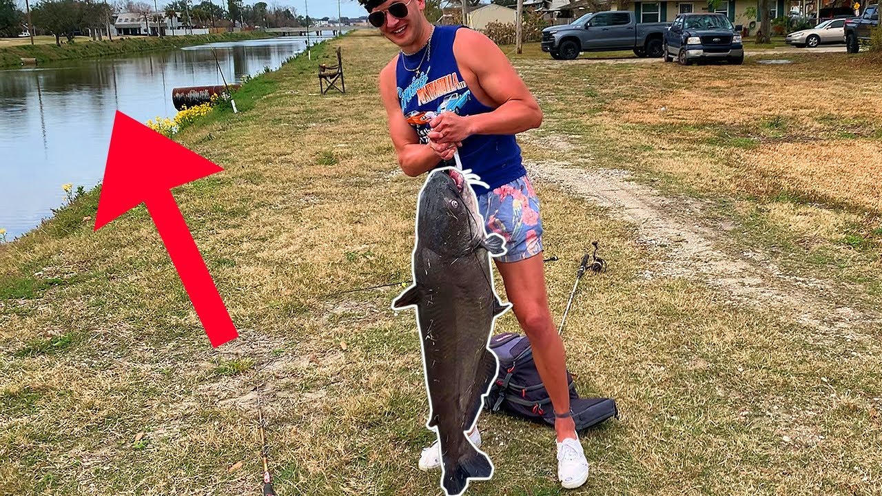 Giant Blue Catfish Caught In Louisiana