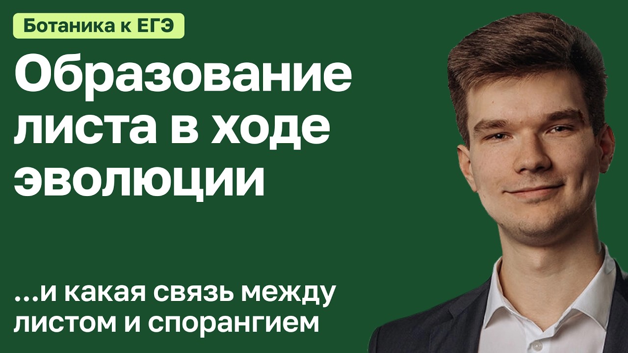 7.39. Как у растений появились листья | Ботаника к ЕГЭ | Георгий Мишуровский