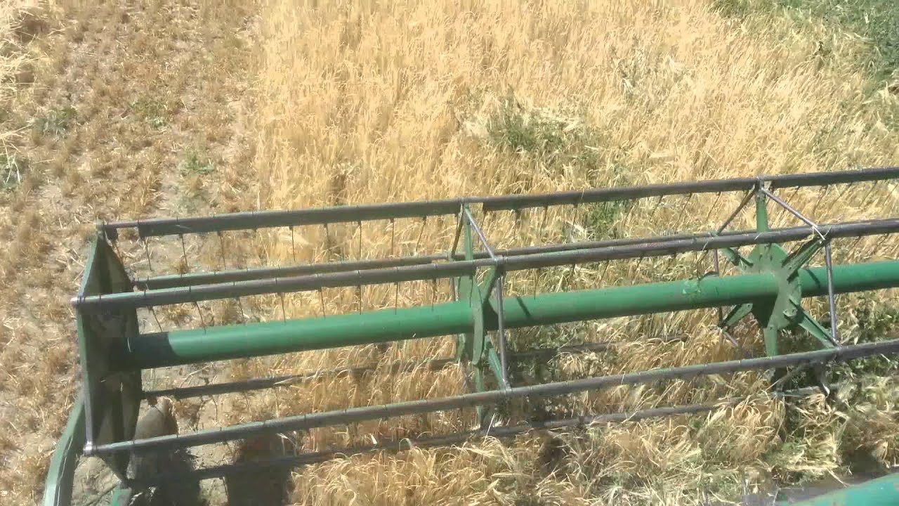 Lavori agricoli Mietirebbia Arbos trebbiatura frumento