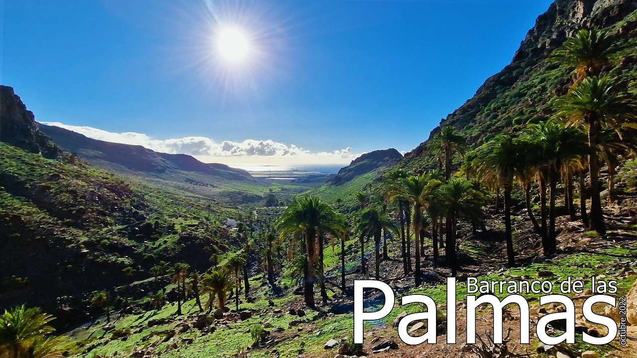 BARRANCO de las PALMAS (comentado)(octubre 2022)