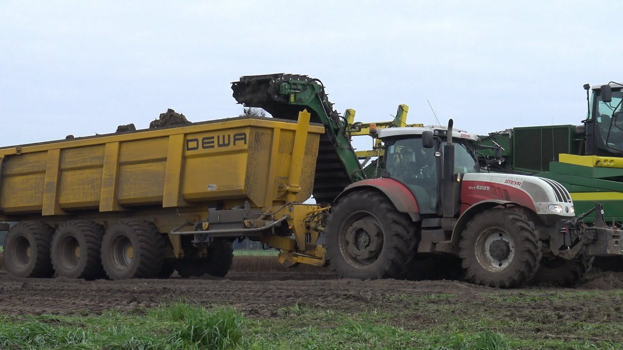Lelies rooien met Ploeger AR-4W en Steyr CVT 6225 met DEWA Hydrodrive 3-asser (2015)