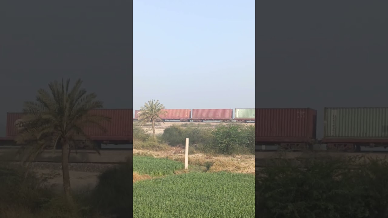 Ship Container Train. #train #railway #train #railvlogger #railwayline #viralshorts #viralvideos