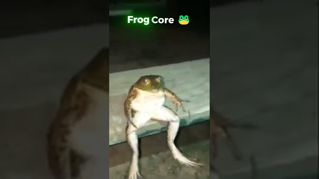 Frog Core 🐸
