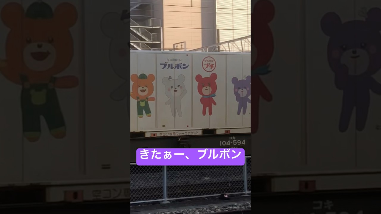 【プチクマ】EF510青釜が連れてきたブルボンプチクマコンテナ 貨物列車4071レ EF510-507 20241021
