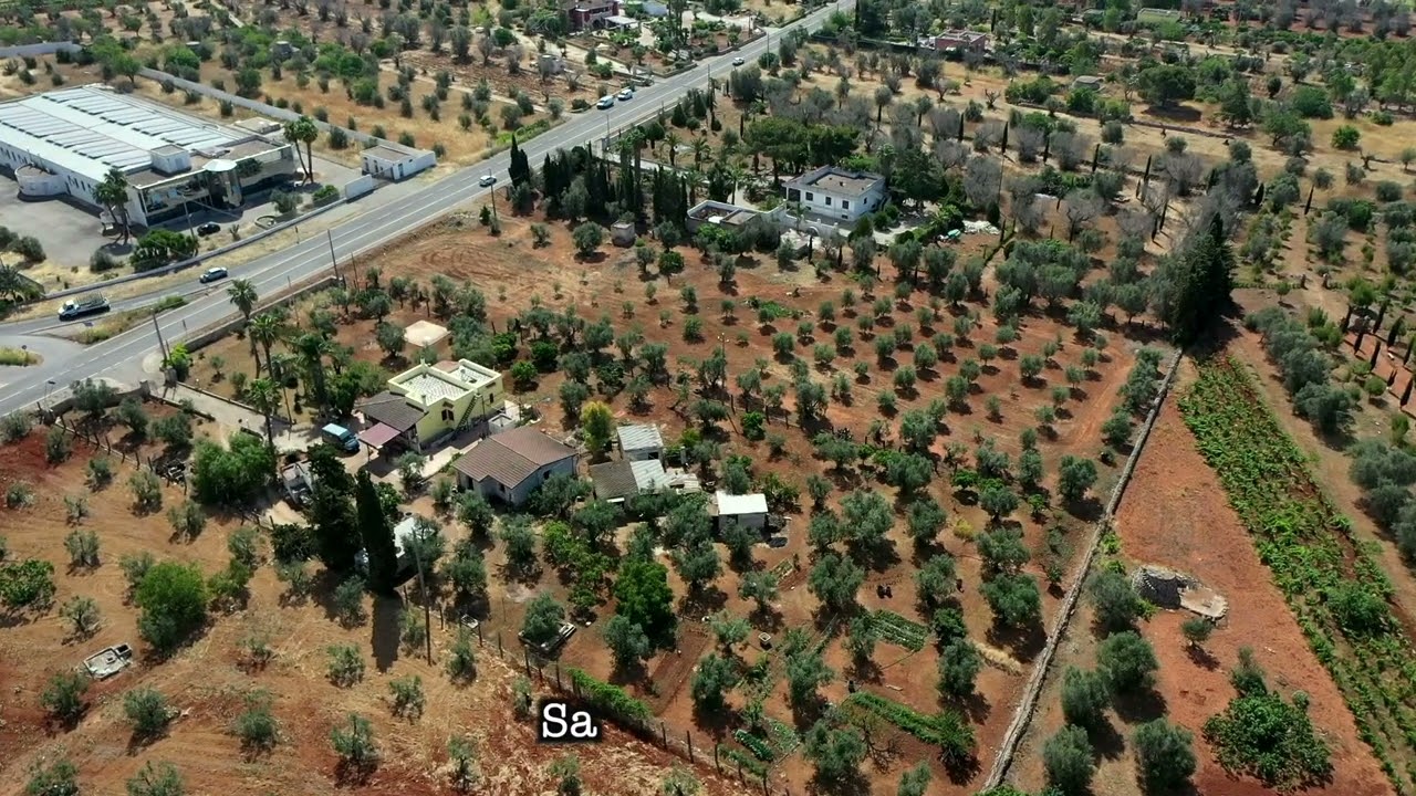 Xylella fastidiosa nel Salento video, ESISTE UNA CURA!
