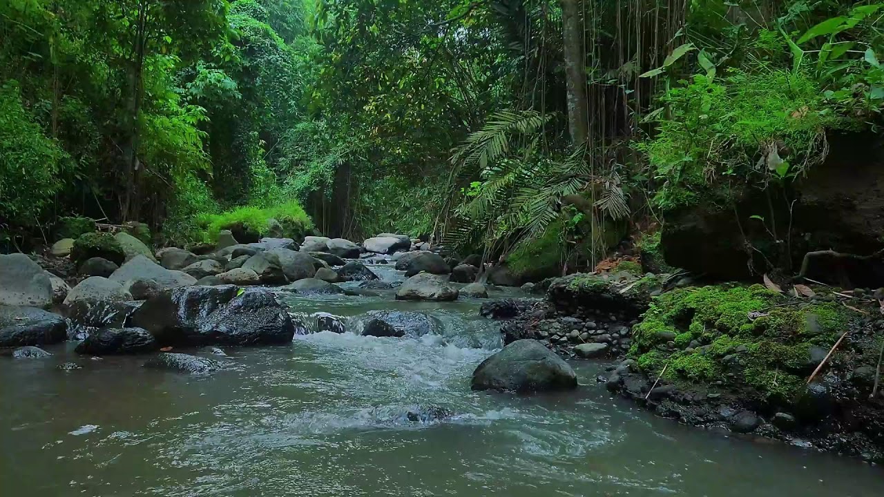 Purest Sounds of water &ndash; Amberglass Stream &mdash; clean audio, no birds.