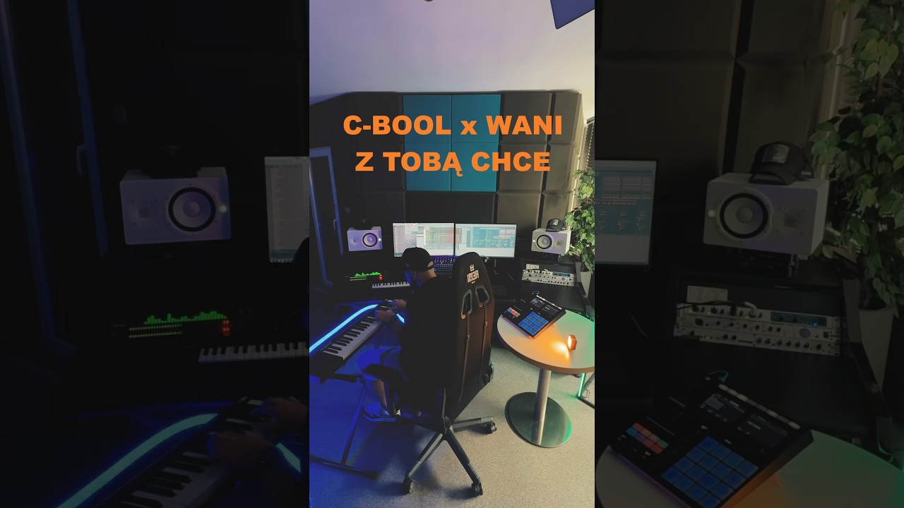 C-BOOL x WANI - Z Tobą chcę ale to funky house. #house #mashup #viralshorts  #wani #cbool #diverson