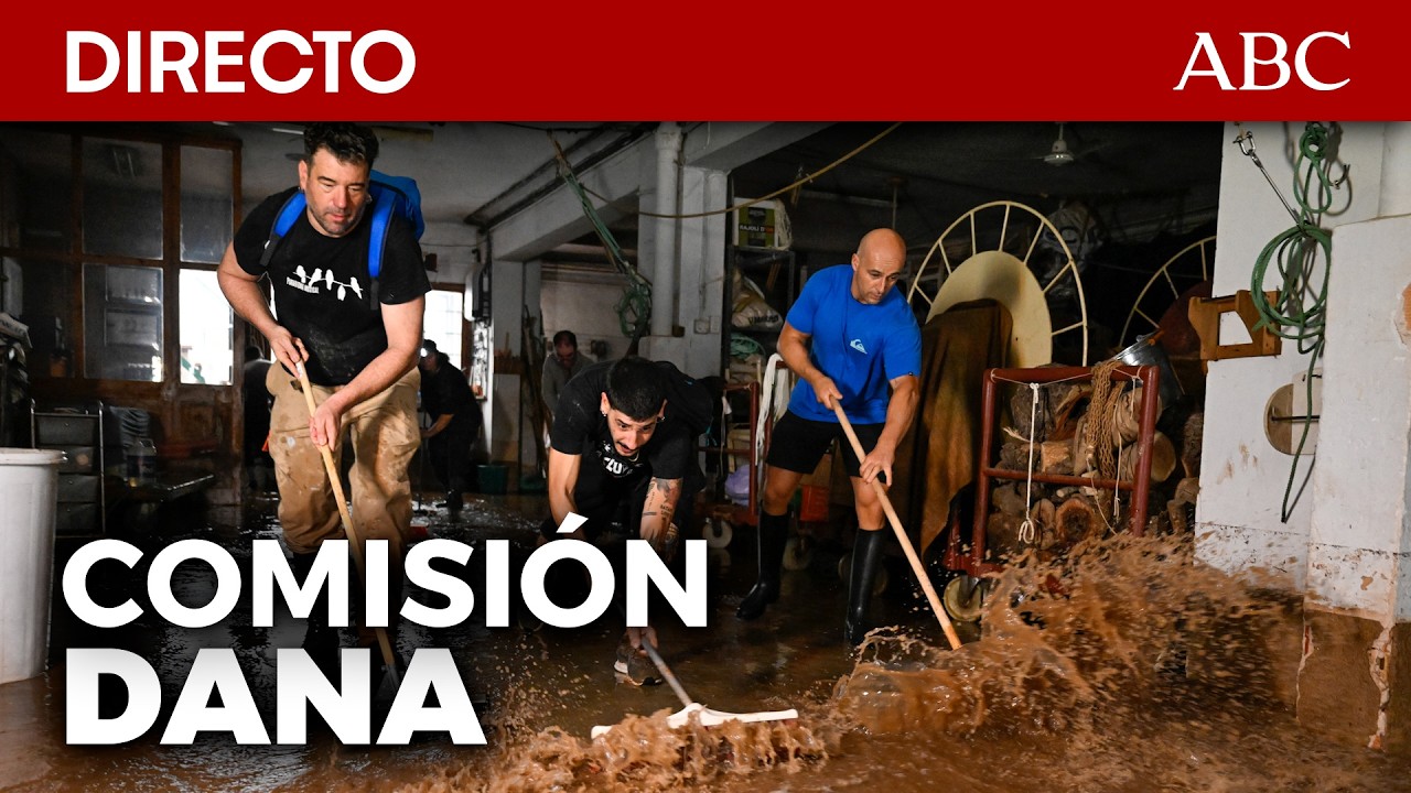 🔴 DIRECTO | Comisión de investigación sobre la gestión de la crisis derivada de la DANA