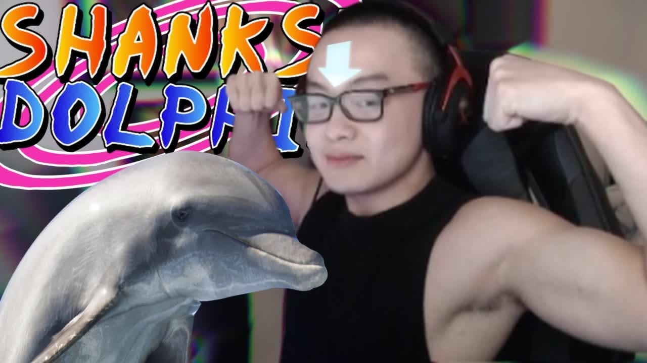 Shanks: The Dolphin