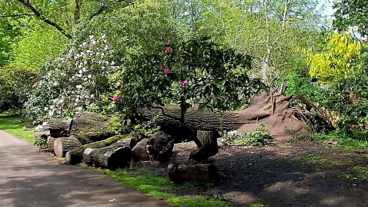Liverpool / Calderstones Park [Part I]