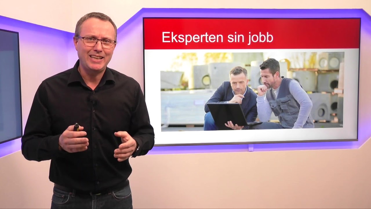 Ekspertbistand