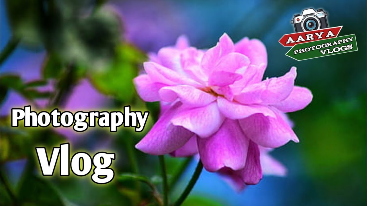 Photoshoot Vloge / Flower Photography Karna Sikhe / With Phone Photography