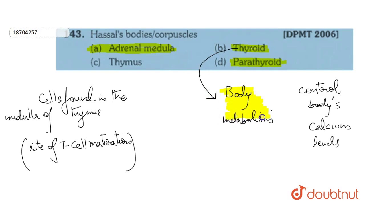 Тельца/тельца Гассаля