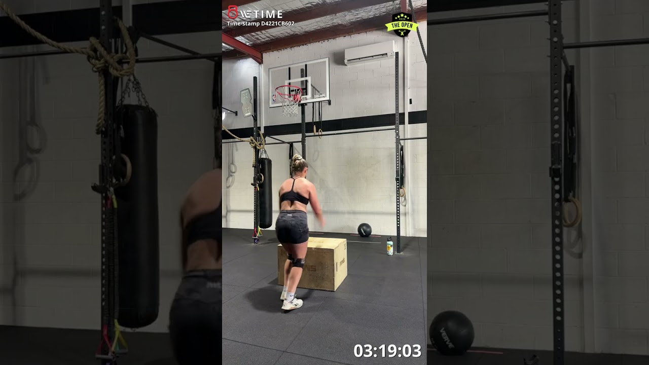 26.1