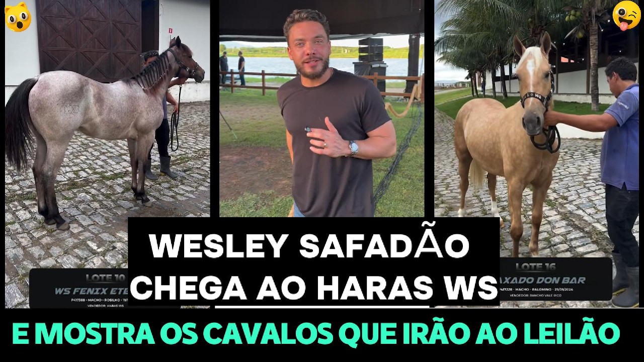 WESLEY SAFADÃO CHEGA AO HARAS WS E MOSTRA OS CAVALOS QUE IRÃO PARA O LEILÃO