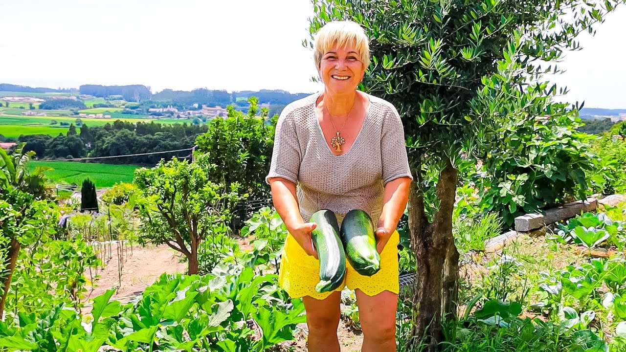 A Natureza Superou-se: Tomates Raros e Curgetes Enormes na Horta!