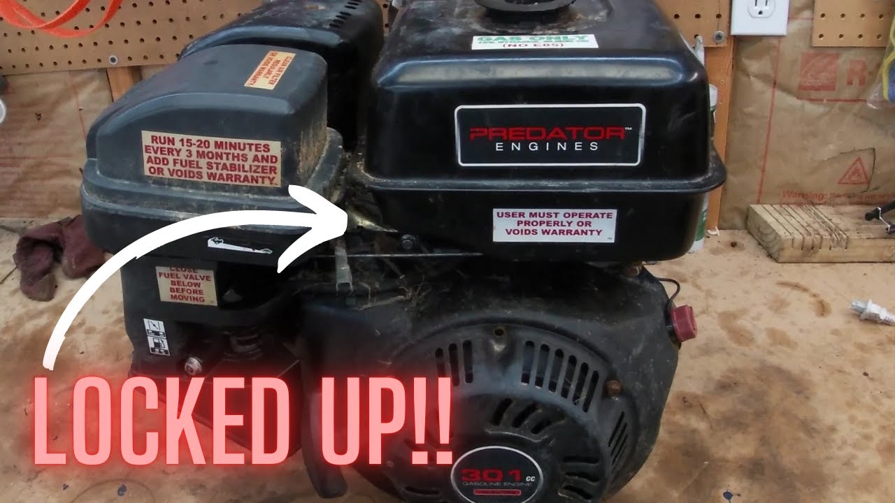 Can this twenty-dollar marketplace engine be saved?? Predator 301cc - Harbor Freight