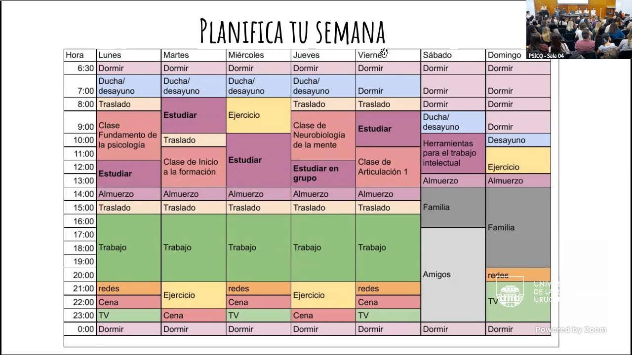 Curso Introductorio 11:30 a 13 h