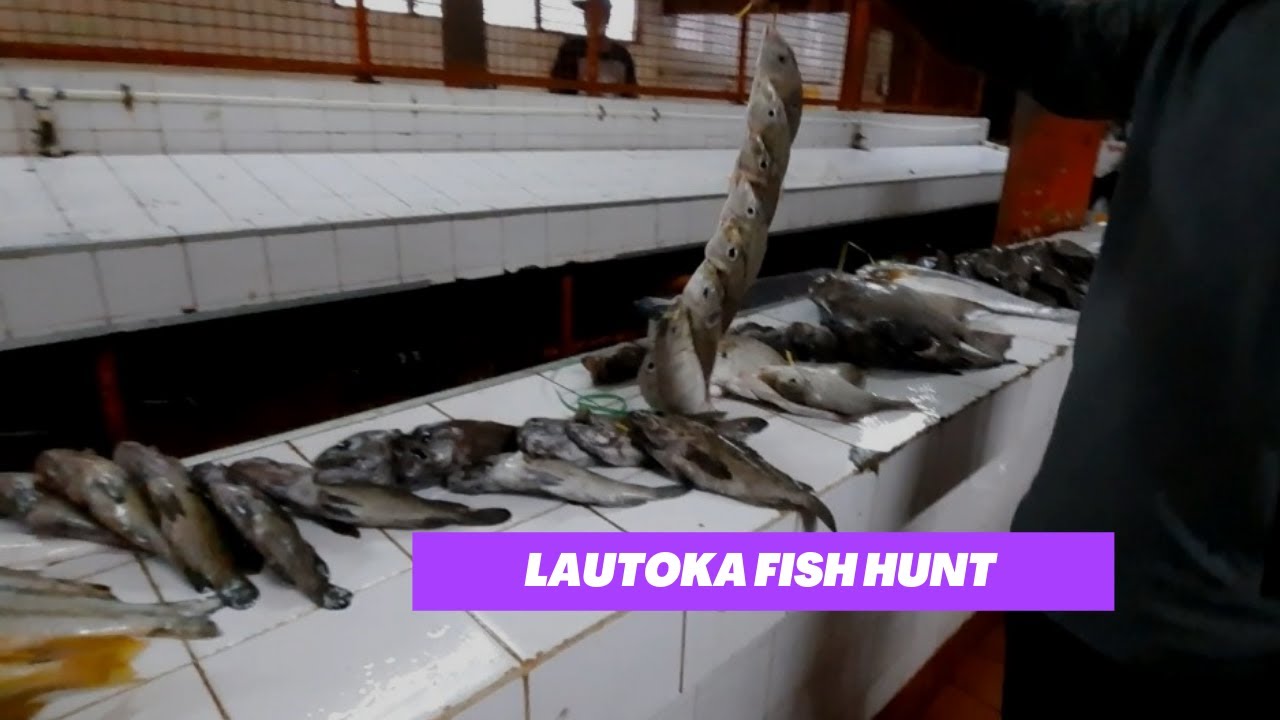 Lautoka fish market (vlog-fiji island)