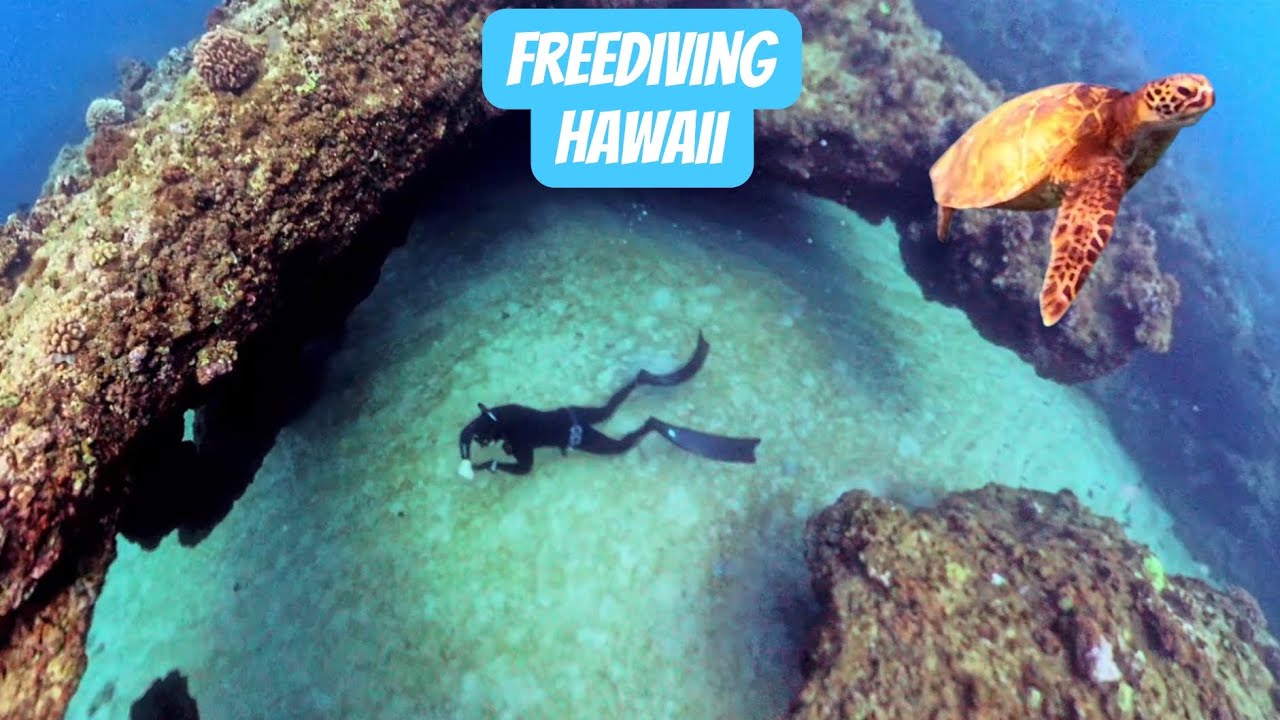 Freediving North Shore Oahu, Hawaii 