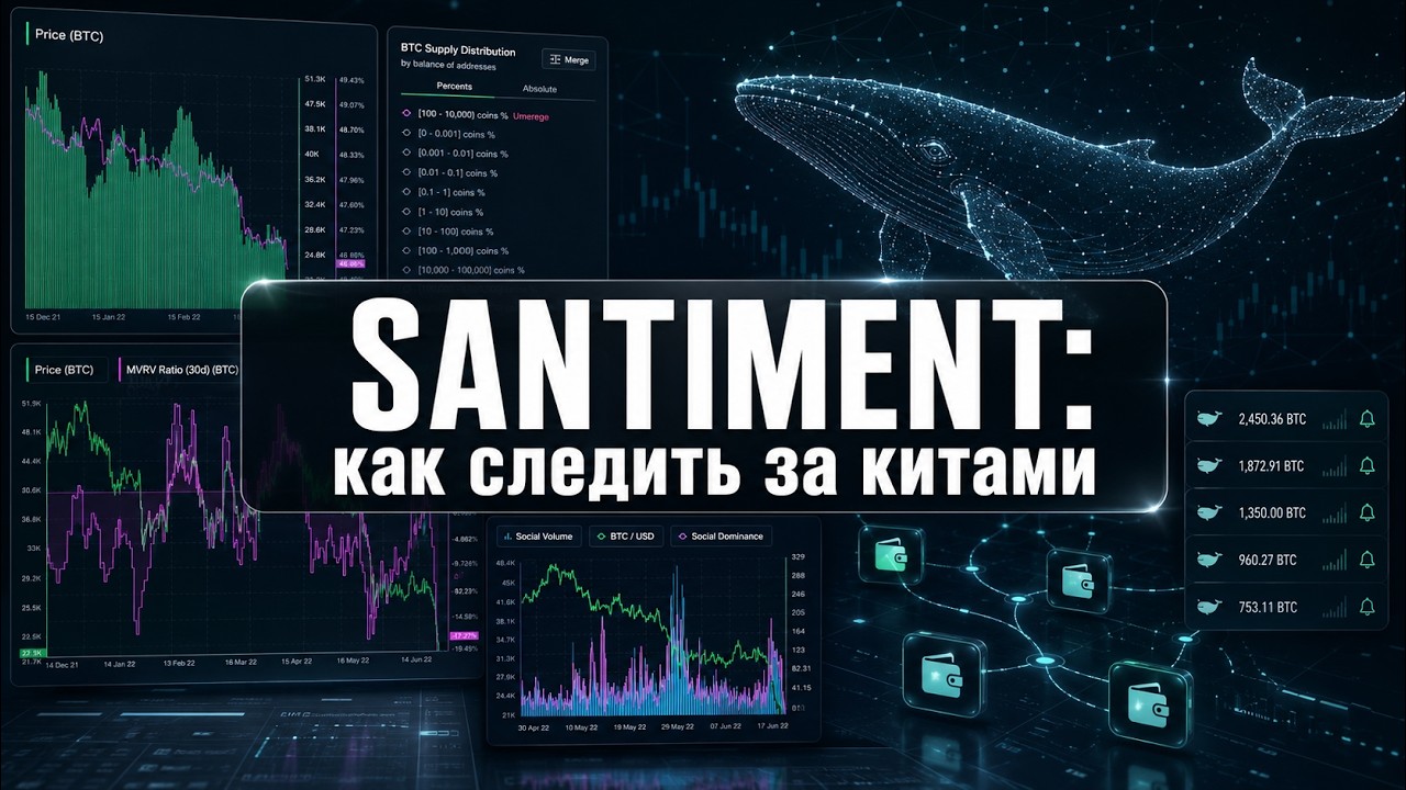 Santiment: как следить за крупными кошельками (MVRV, Whale Watcher, Токен SAN) обзор | review