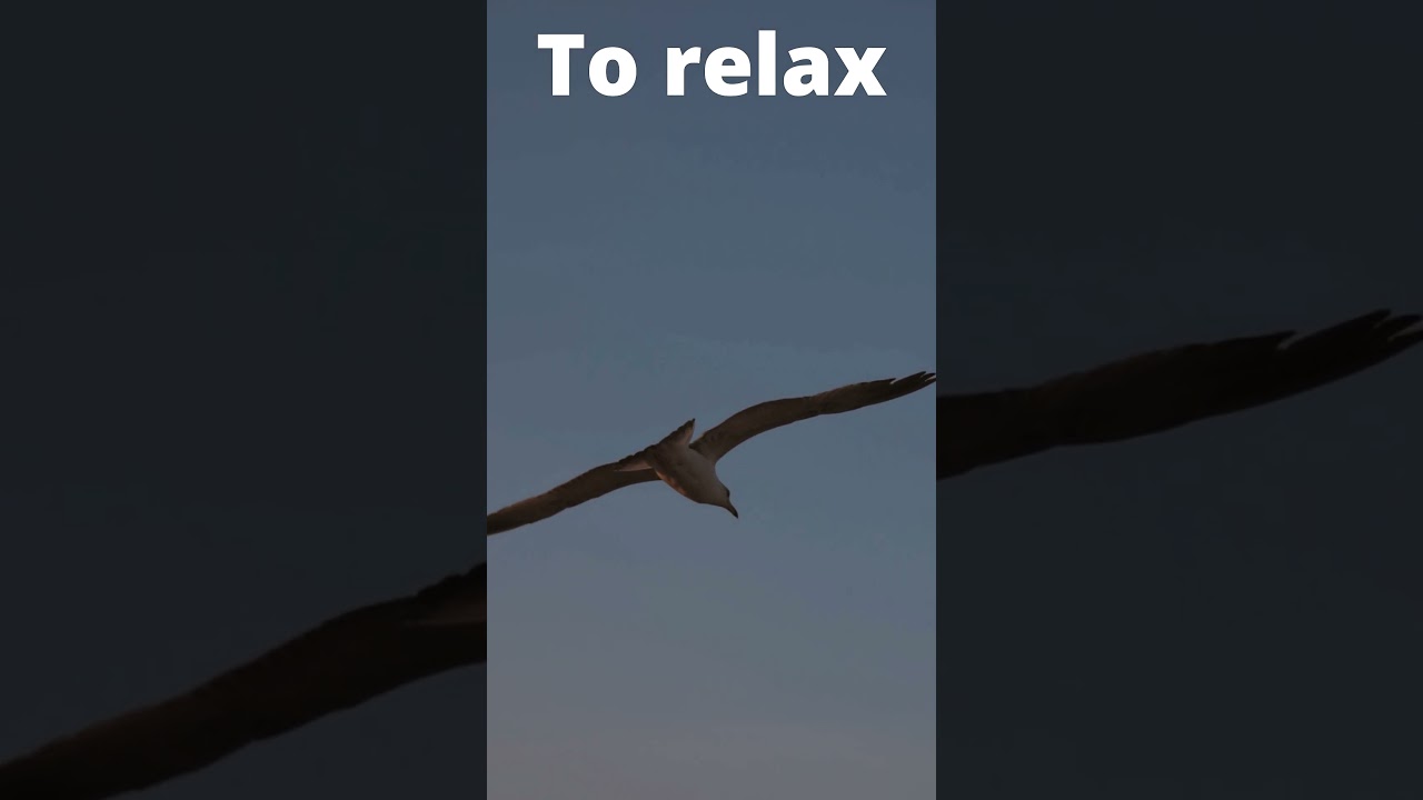 To relax  