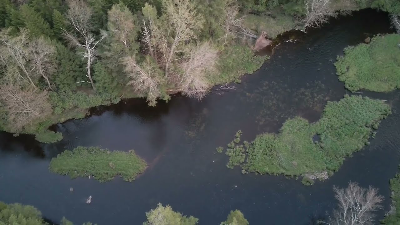HS900 Holy Stone Videography Flight Capabilities, Distance & Altitude