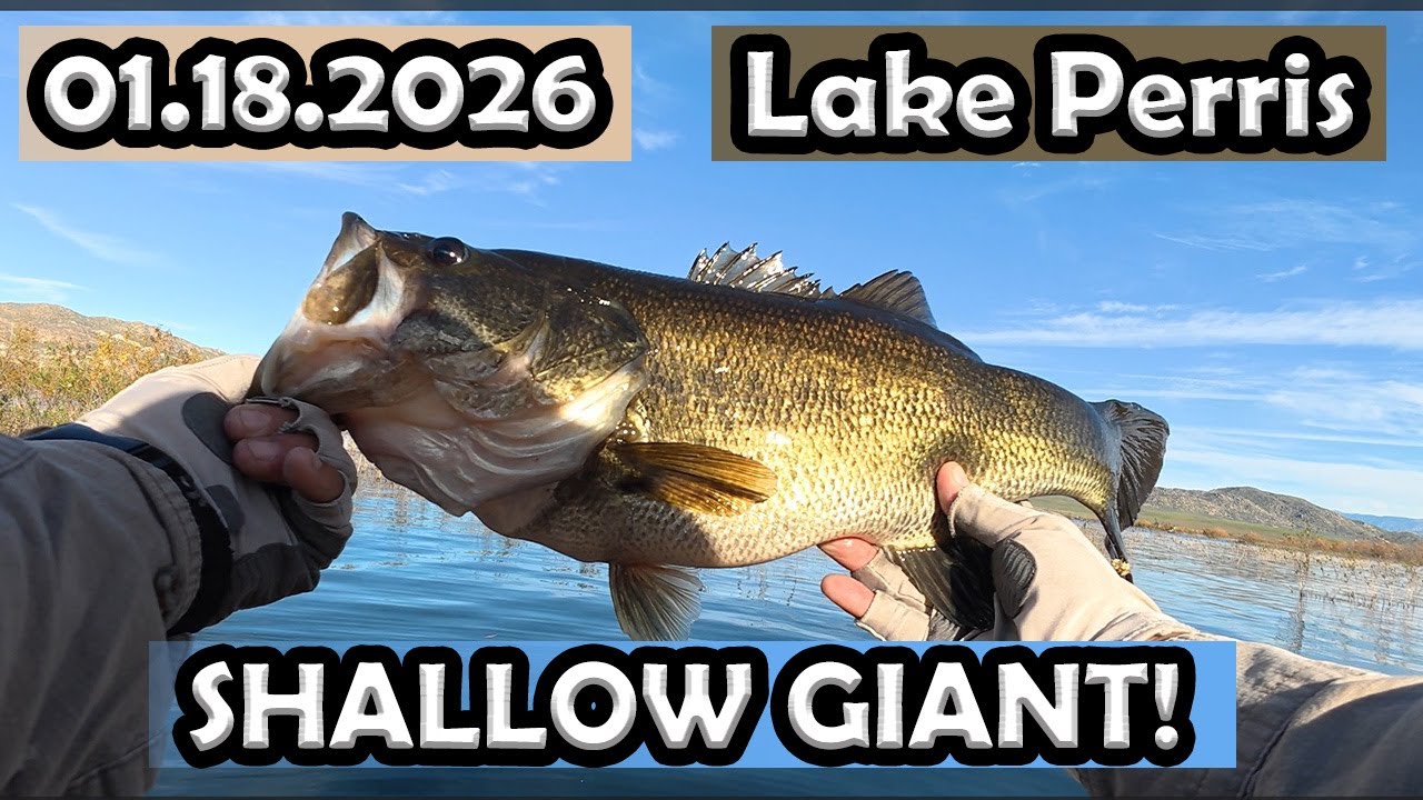 Lake Perris Fishing: 2nd Biggest Bass Of The Year!!
