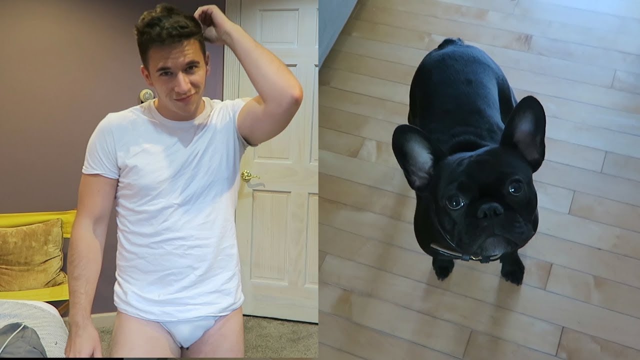 Cute Dogs & Cute Boys