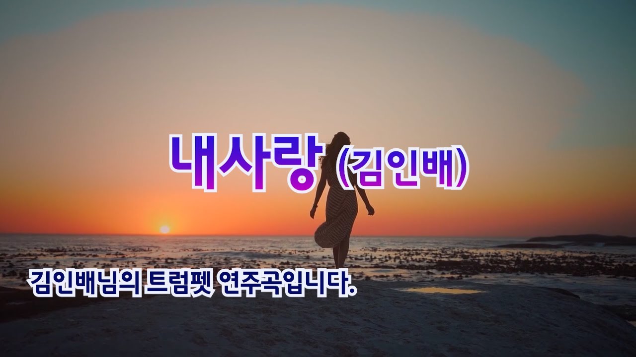 내사랑 김인배 트럼펫 연주