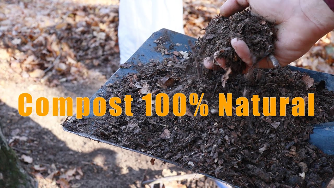 Compost 100% Natural. Pământ de pădure