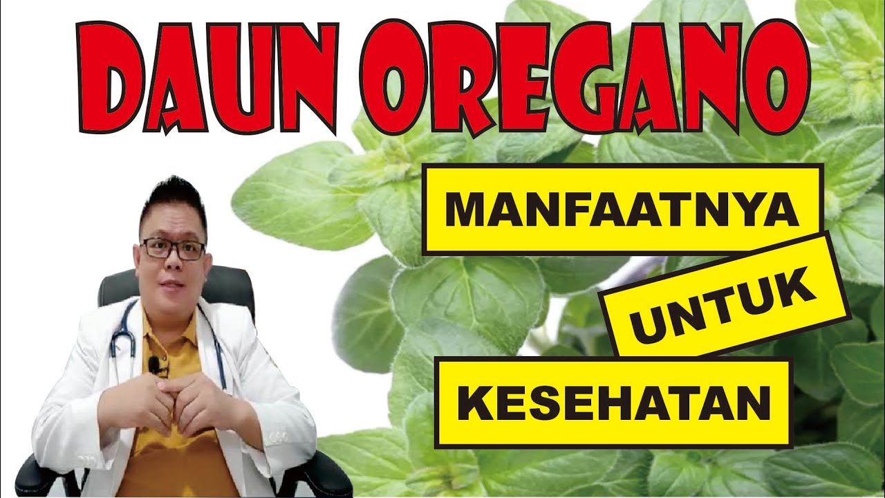 MANFAAT DAUN OREGANO UNTUK KESEHATAN