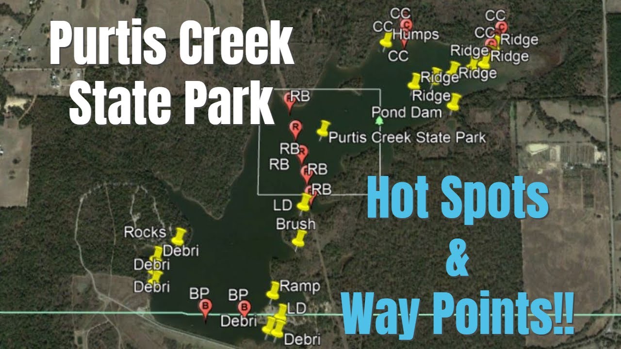 Purtis Creek - LAKE BREAKDOWN!! - Find Fish Fast!